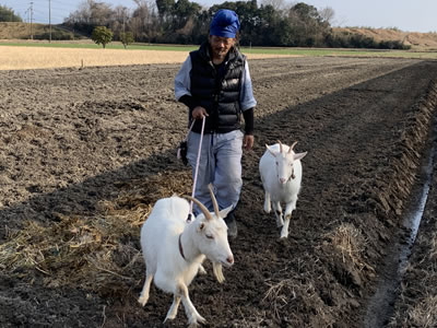 かかし農園（滋賀県竜王町）いちご狩り