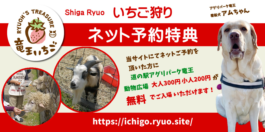 いちご狩りネット予約特典！アグリパーク竜王の動物広場入場無料特典あり