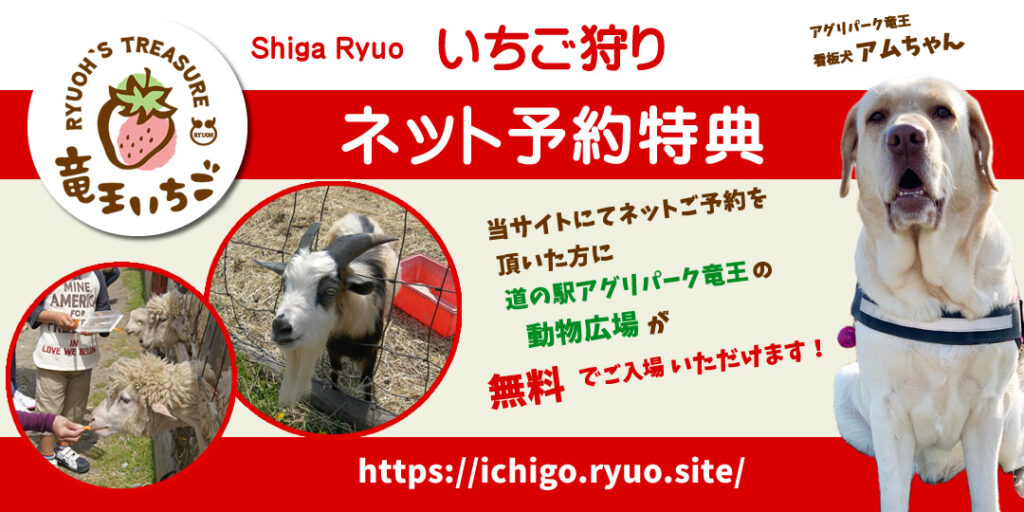 いちご狩りネット予約特典